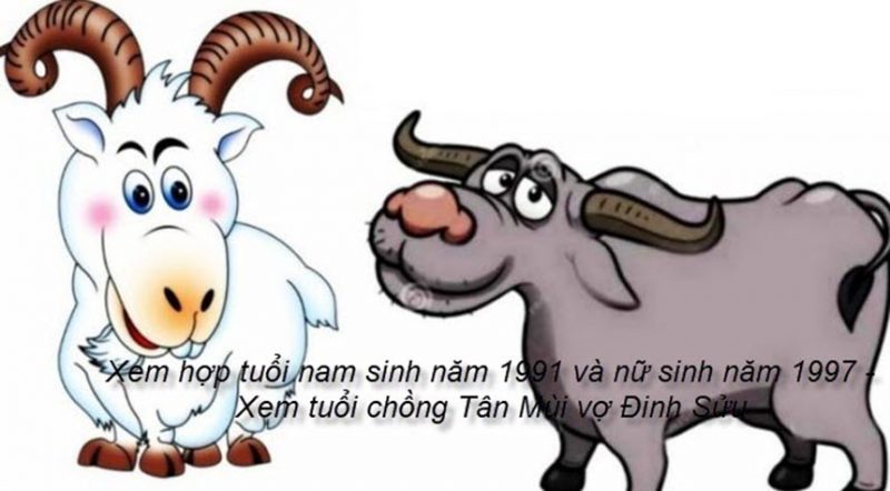 nam 91 nữ 97 có hợp nhau không?