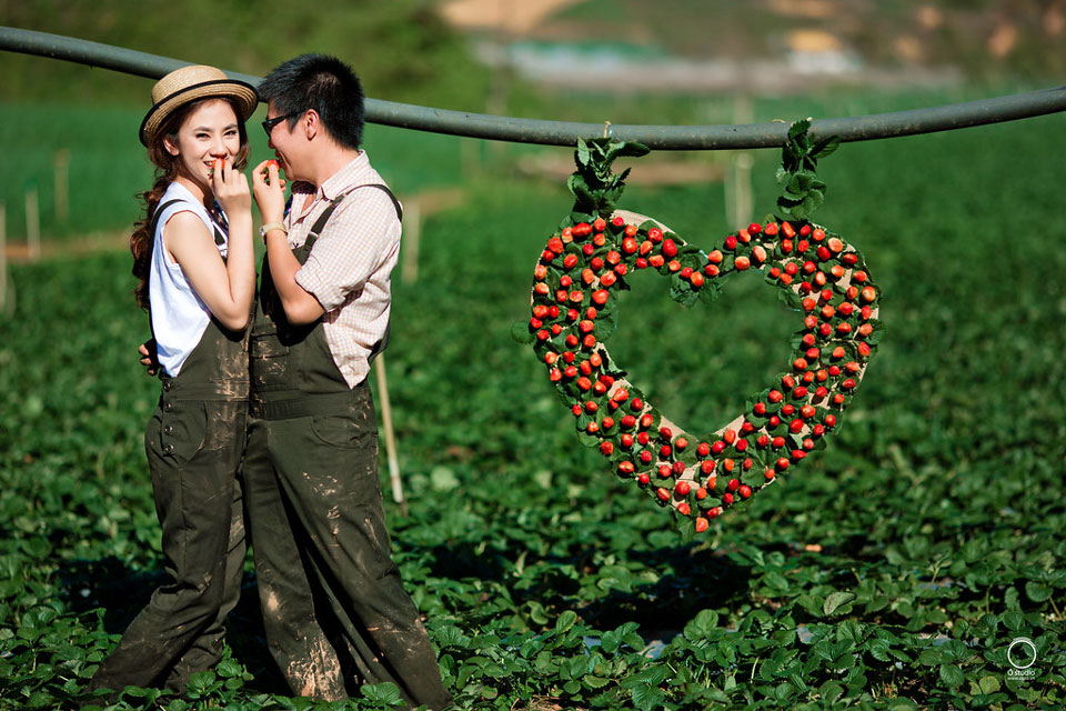 Du lịch tuần trăng mật ở đà lạt