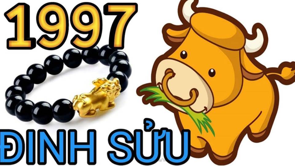 Vợ tuổi đinh sửu